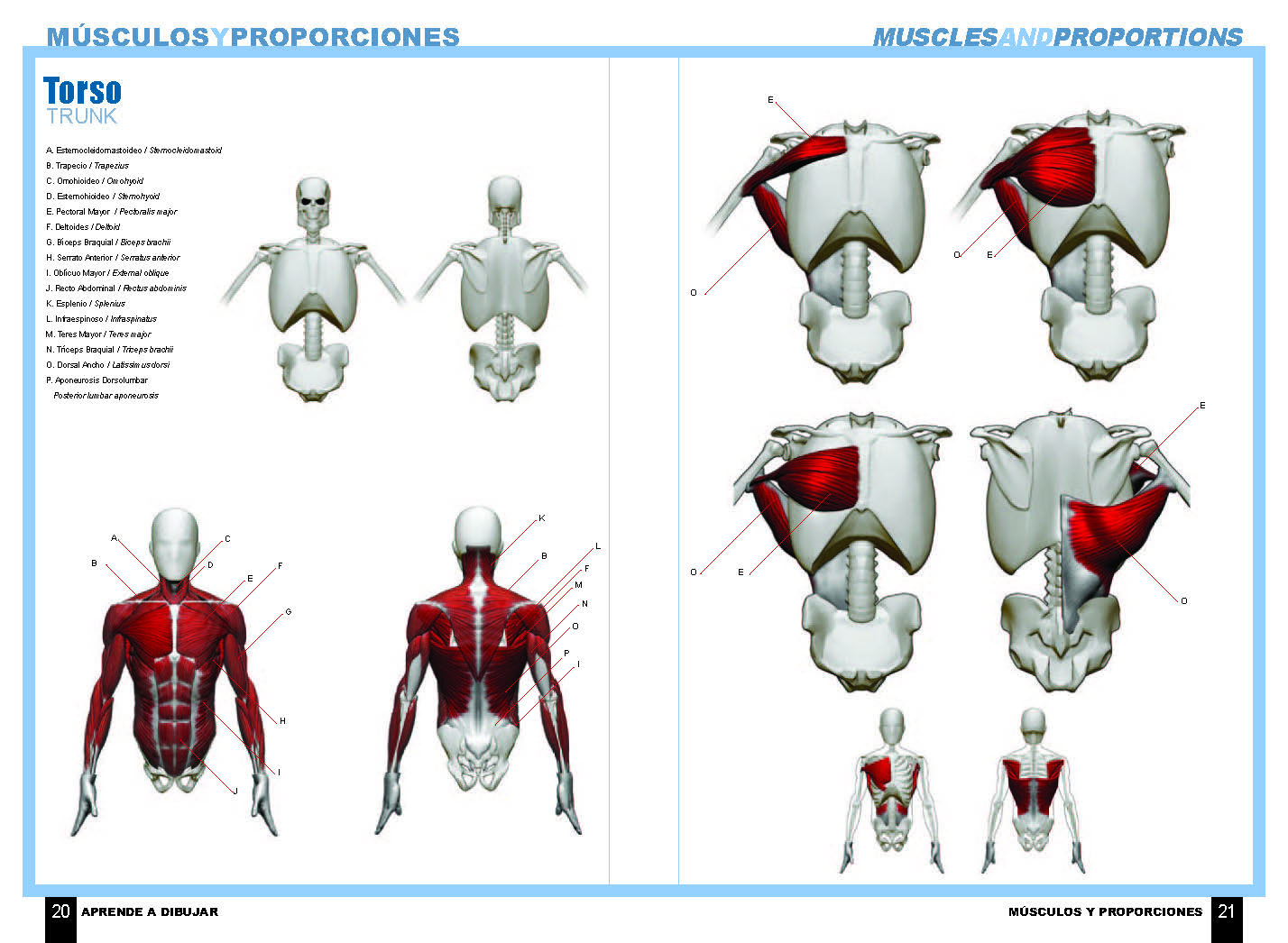 Aprende a dibujar comic anatomia de superheroes pdf