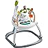 fisher-price colourful carnival spacesaver jumperoo instructions