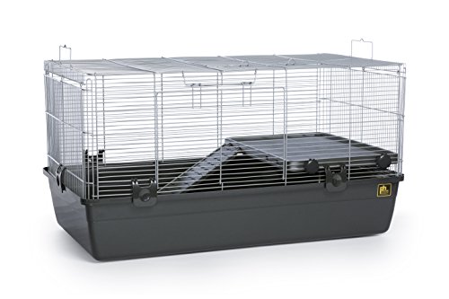 pets at home hamster cage instructions