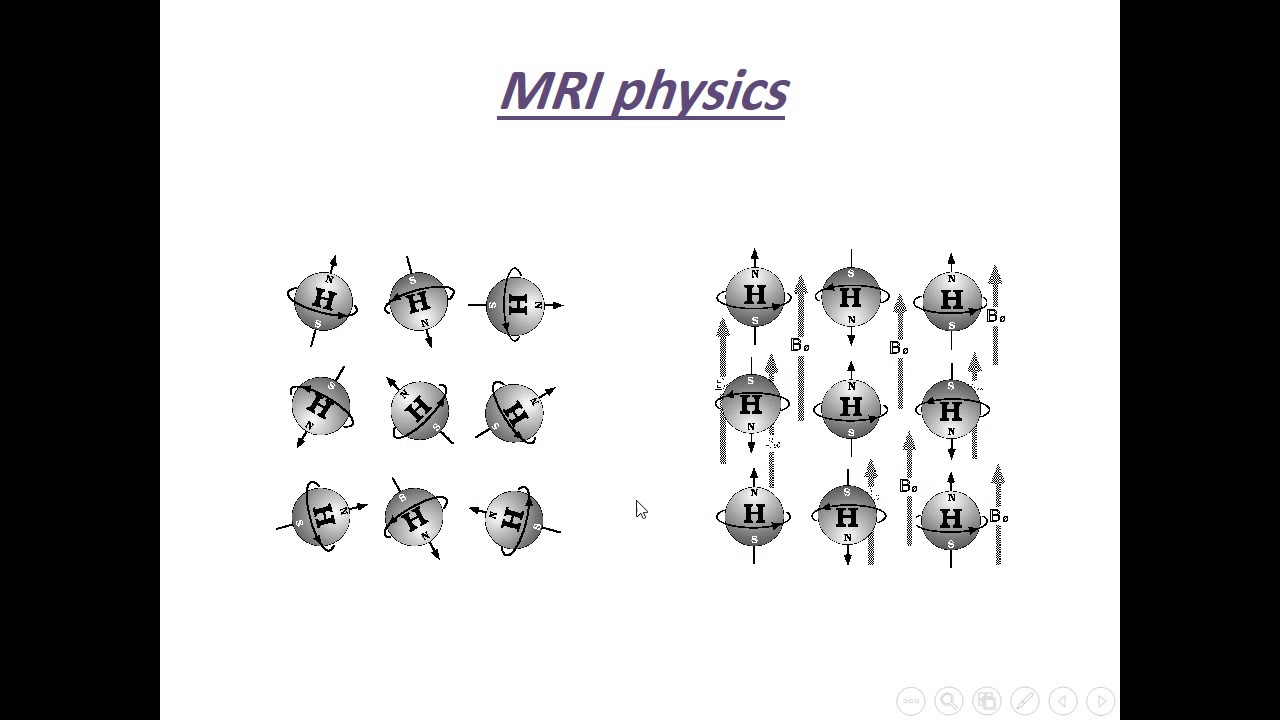 Basics of mri physics pdf