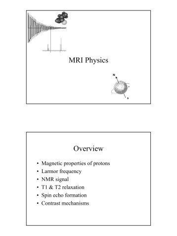 Basics of mri physics pdf