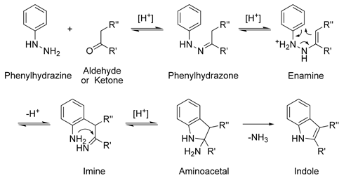 Fischer indole synthesis mechanism pdf