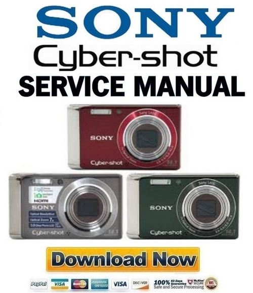 sony cyber shot dsc w710 manual