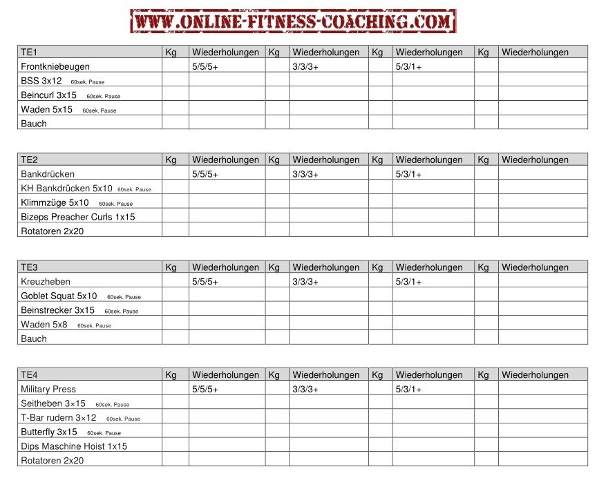 Fst 7 workout program pdf