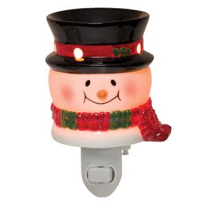 scentsy plug in warmer instructions